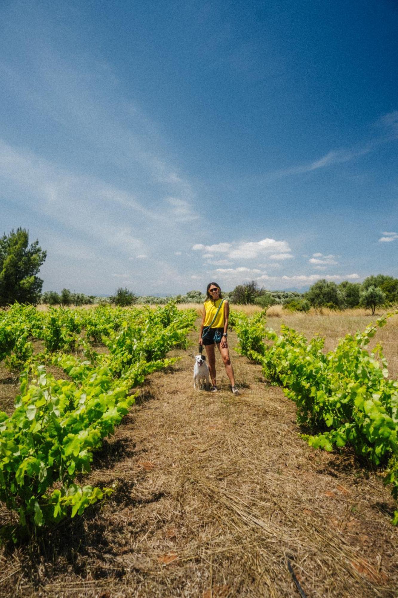 Отель Eumelia Organic Agrotourism Farm Gouvai Экстерьер фото