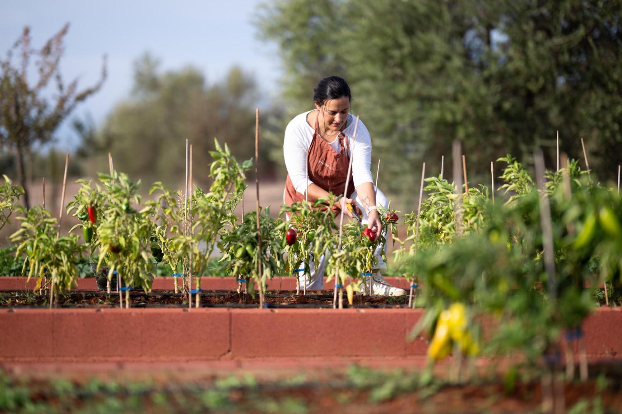 Отель Eumelia Organic Agrotourism Farm Gouvai Экстерьер фото